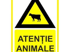 Placuta atentie animale