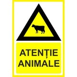 Placuta atentie animale