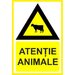 Placuta atentie animale